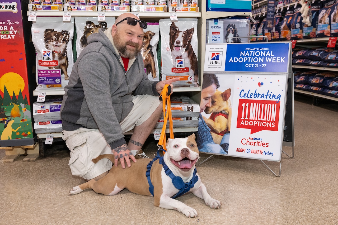 Fashion petsmart dog adoptions today